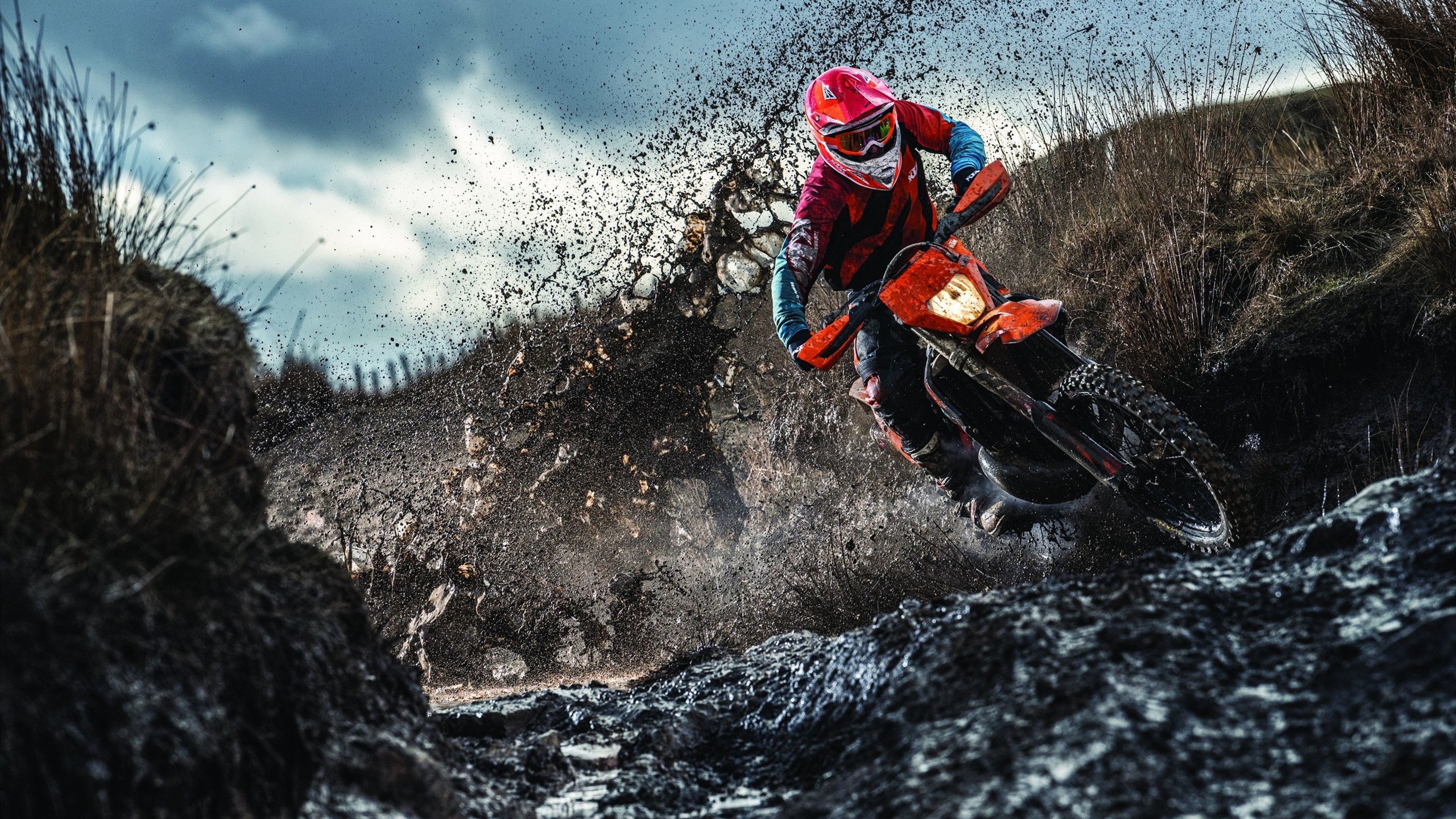 爱游戏-LCS与LEC加强交流合作，lcc study proposal